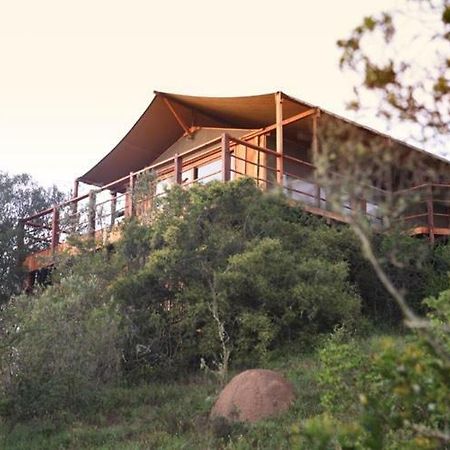 Addo Elephant Lodge & Safaris Kirkwood Exterior foto