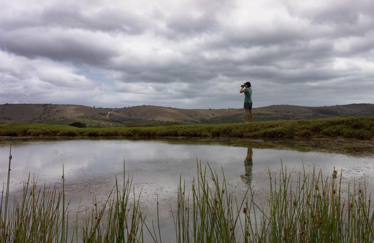Addo Elephant Lodge & Safaris Kirkwood Exterior foto