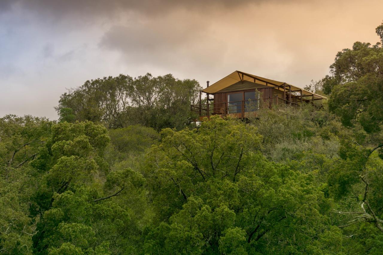 Addo Elephant Lodge & Safaris Kirkwood Exterior foto